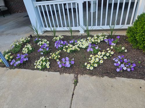 Landscape Design for Trinity Landscapes  in Lumberton, NC