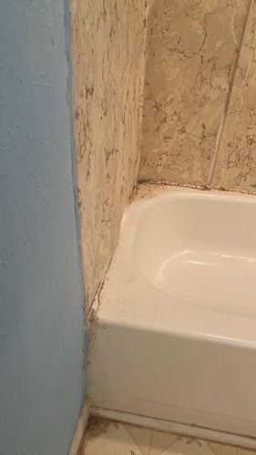  for Gio's Construction in Cameron,  TX