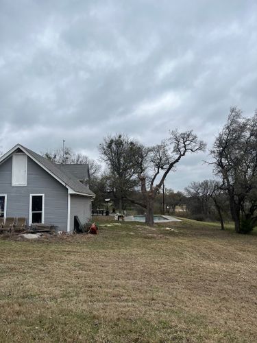  for Marks Tree Service in Fort Worth, TX
