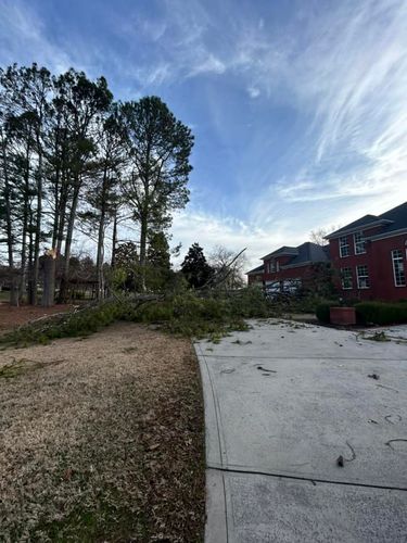  for Chipper's Tree Service  in Fort Payne, AL