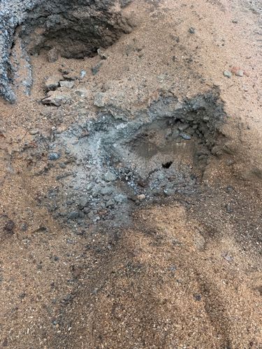  for Clifford’s Quality Tree Care & Landscaping in Enfield, NH