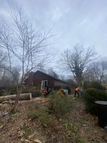  for Diversified Tree Company in Trinity, NC