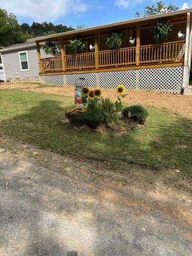  for Excavation Innovations in Rogersville, TN