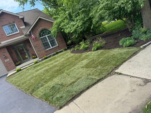 Flower Bed  for R&L Deluxe Landscaping in Hanover Park, IL