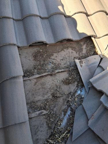 Roofing Repairs for Olson & Sons Contracting in Mesa, AZ