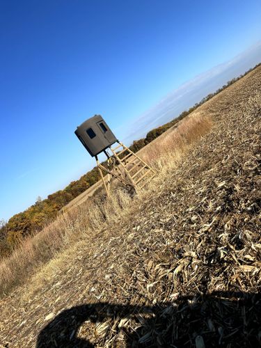 Hunting Stands/Tower Blind Construction for Two Young Bucks in Leon, IA