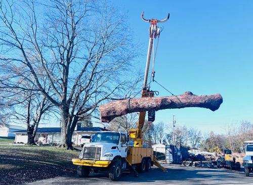 Tree Removal for Lamb Brothers Clearing in Murray, KY