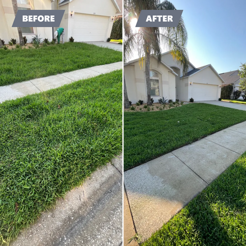 Tree Removal for Ludlows Services in Davenport, FL