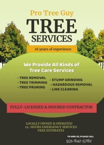  for Pro Tree Guy in Winchester, TN