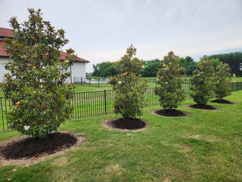 All Photos for Lavon Lawn Plus in Lavon, TX