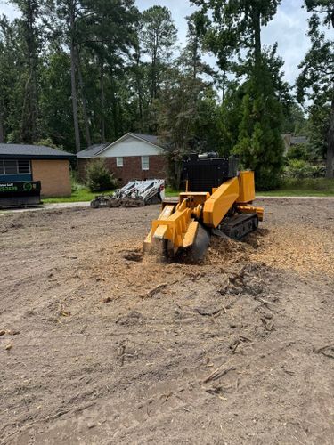 Stump Excavation for Dozier Stump Grinding in Augusta, GA