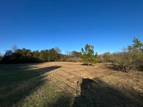 Land Clearing for Schrock’s Land Management in Northern Virginia, Shenandoah Valley, VA