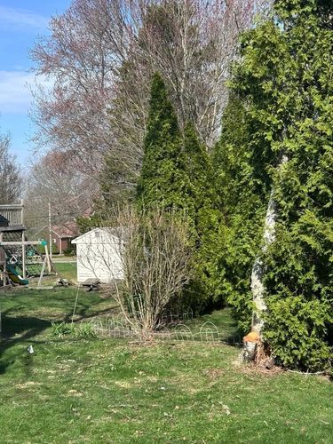 Tree Trimming and Removal for Murray Mowing and More in Ashaway, RI