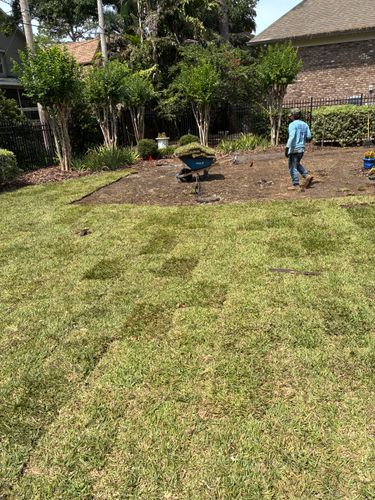  for Gulf Bay Sod in Clearwater, FL