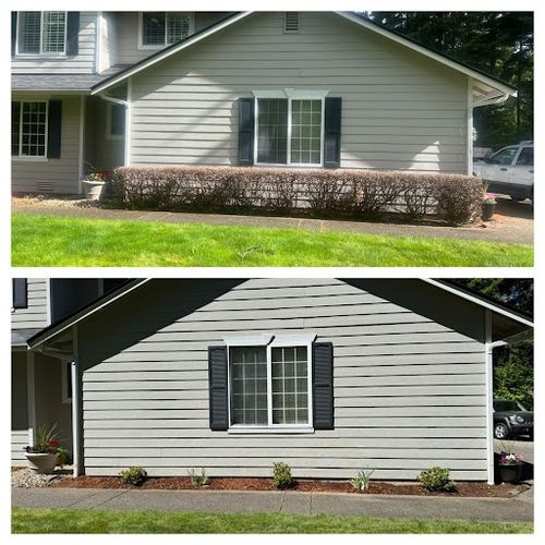 Shrub Trimming for Hall of Fame Landscaping in Bremerton, WA