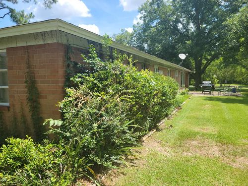 Shrub Trimming for Wright's Land Management, LLC in Macon, GA