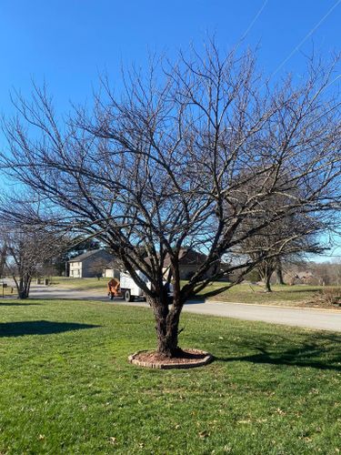 Fall and Spring Clean Up for Atwood’s Tree Care in Liberty,  KY