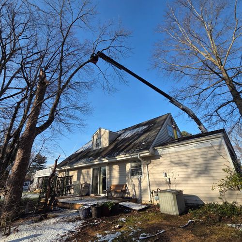  for Darbie's Tree Service in Newburg,  MD