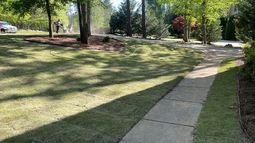 Fall and Spring Clean Up for Lively Landscaping LLC - NC in Franklinton, North Carolina