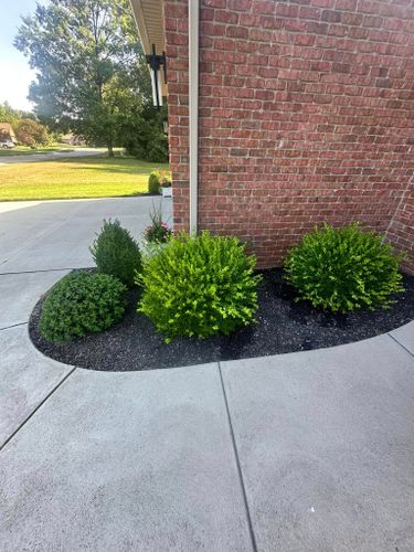 Shrub Trimming for Sargent's Lawn and Property Maintenance LLC in Lambertville, MI