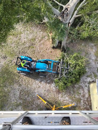 Land Clearing for Highlands Tree Service LLC in Avon Park, FL