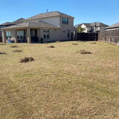 Dethatching for North Texas Groundscaping in Frisco, TX