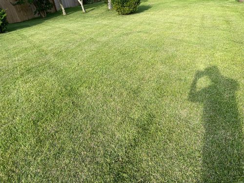  for Isaias Velasquez Landscaping and Services in Williamsburg, VA