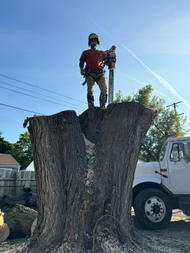  for The Bucking Arborists in Flint, MI