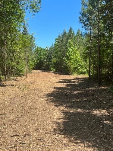 Brush mowing & Forestry mulching for Jason Scott Grading & Clearing in Williamson, GA