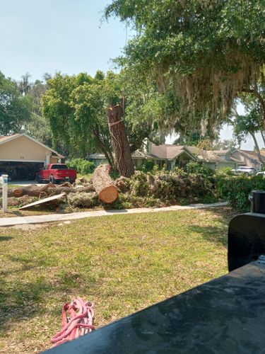 All Photos for A Southern Style Tree Service in Orlando, FL