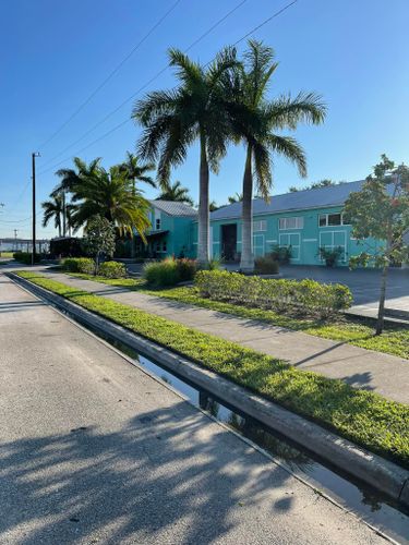 Palm Trimming for Lawn Caring Guys in Cape Coral, FL