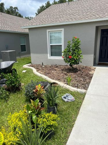 All Photos for Estrada All Pro Lawn Service in Auburndale, Florida