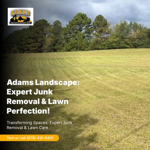Commercial Property Maintenance for Adams Landscape Management Group LLC. in Loganville, GA