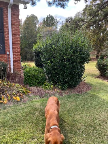 Mowing for Cowboys Lawn Care & Pressure/Soft Washing in Carrollton, Georgia