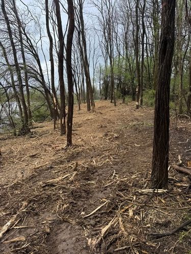 Land Clearing for Barkers Outdoor Services in Hamilton, OH