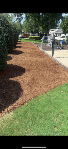  for Pecina Pine Needles in Monroe, NC