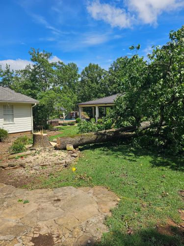 for Millers Tree Service in Saline County, AR