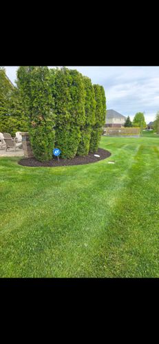  for Ivy Lawn and Landscaping in Oxford, MI