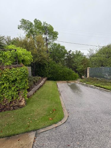  for Camerons Stump Grinding & Tree Services in Austin, TX