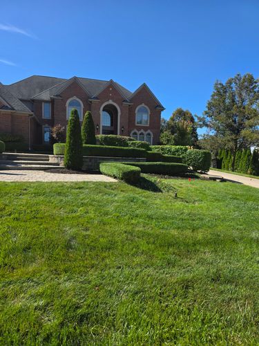  for Ivy Lawn and Landscaping in Oxford, MI