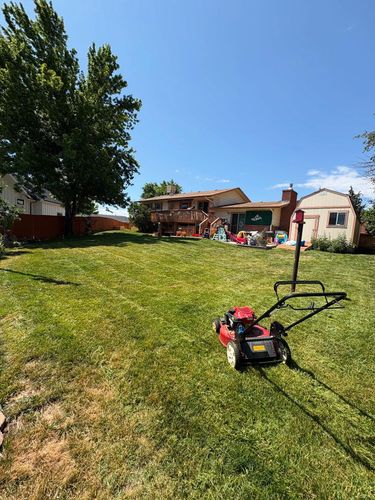 Mowing, Edging & Trimming for Denver Bros Lawn Control in Denver, CO