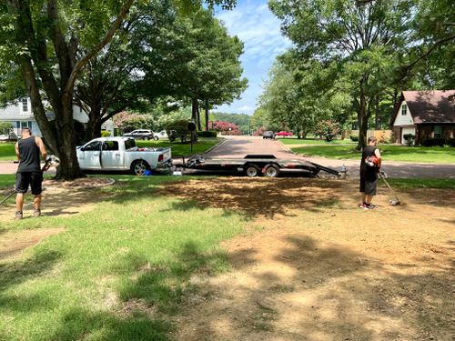 Lasso Landscape  for Emory's Garden Landscape Emporium in Memphis,  TN