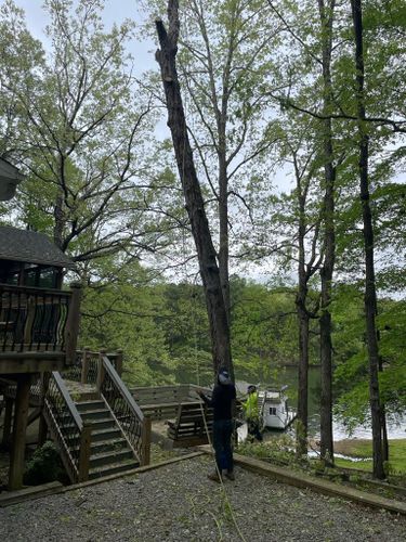 Tree Removal for Rosales Landscaping LLC in Lake Gaston, North Carolina