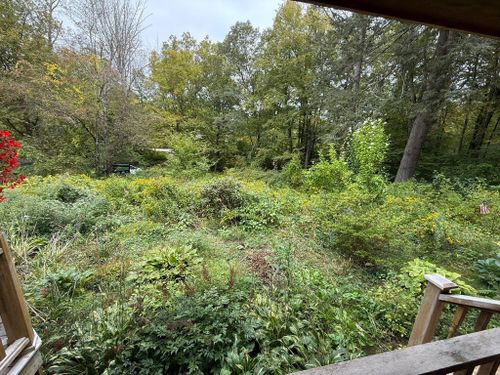 Fall Clean Up for Navedo’s Lawn Care in Putnam, CT