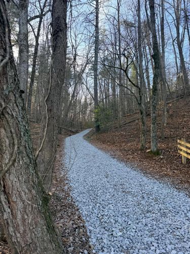  for T Crane Grading LLC in Clarkesville, GA
