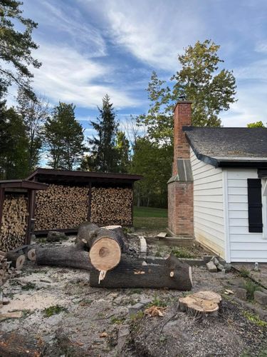  for Sterlings Tree Removal in Cobleskill, New York