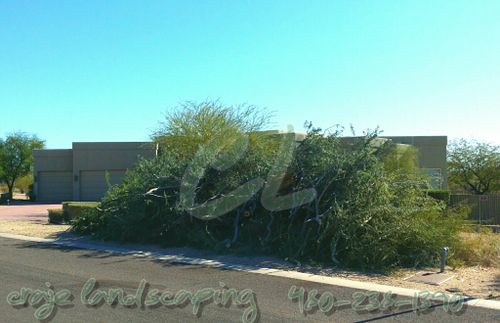Tree Removal for CRAJE Landscaping LLC in Mesa, AZ