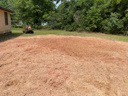 Stump Removal for MJB’s Stump Grinding LLC in Tennille, GA