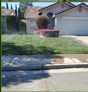 Shrub Trimming for Regalado Landscape in Antioch, CA