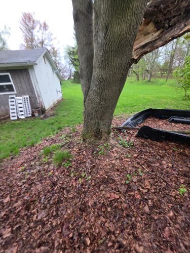  for D Hale Tree Service in Ann Arbor, MI